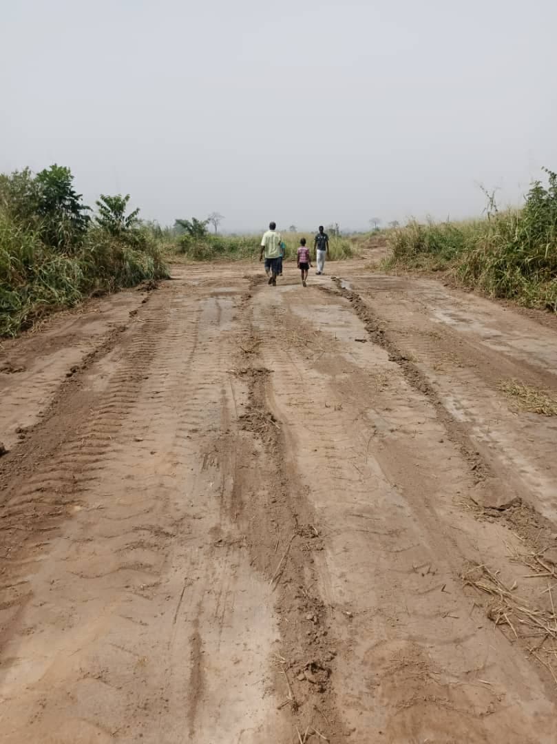 Land clearing and site preparation